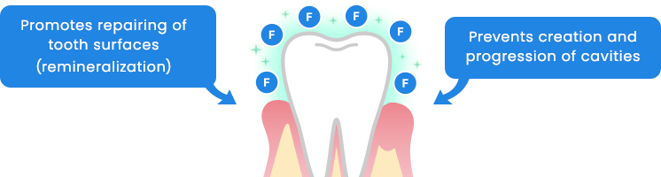 Promotes repairing of
            tooth surfaces (remineralization)/Prevents creation and progression of cavities