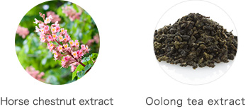 Horse chestnut extract Oolong tea extract