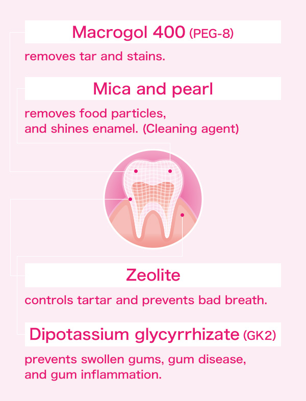 Zettoc Professional Toothpaste Zettoc Style