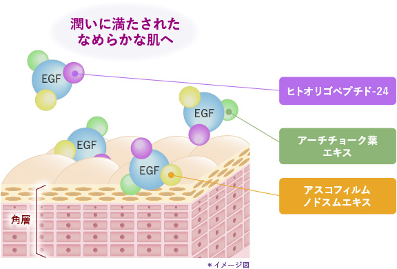*イメージ図