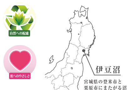 伊豆沼 宮城県の登米市と栗原市にまたがる沼