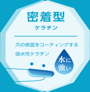 密着型ケラチン 爪の表面をコーティングする吸水性ケラチン