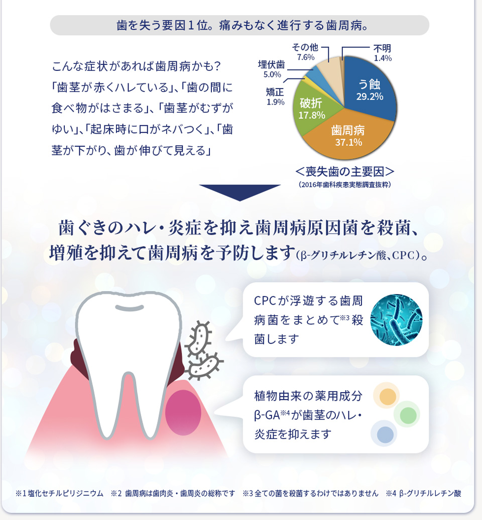 歯ぐきのハレ・炎症を抑え歯周病原因菌を殺菌、増殖を抑えて歯周病を予防します（β-グリチルリチン酸、CPC)
