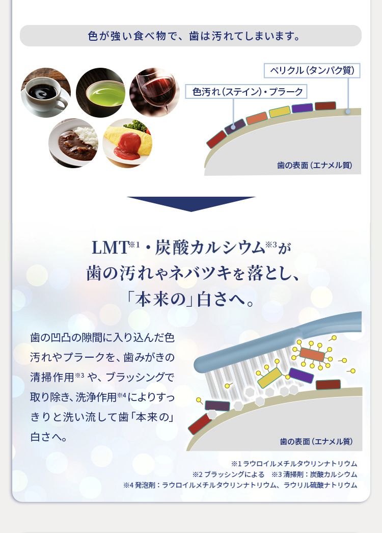 メディシャル ｜ ゼトックスタイル（ZETTOC STYLE）公式サイト – 研究